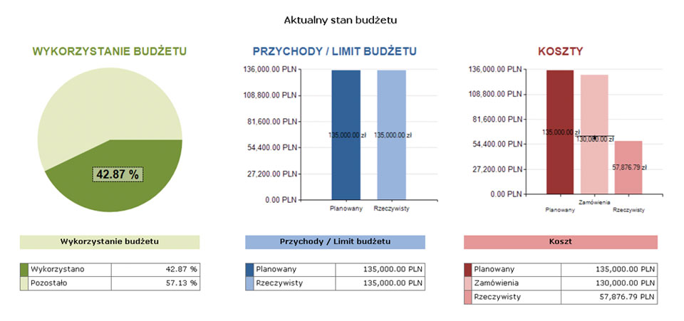 Rysunek 1. Przykładowy raport wyświetlający stan wykorzystanego budżetu projektu